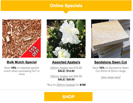 Email Campaigns