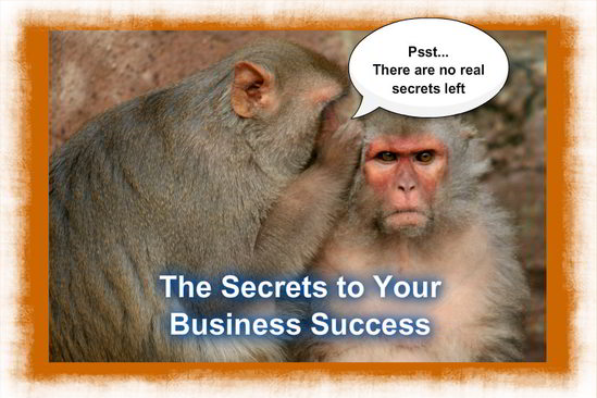 There are No Secrets to Your Business Success